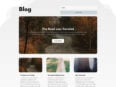 c3-blog-small.jpg