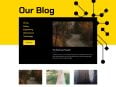 c3-blog-small.jpg