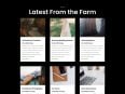 c3-blog-small.jpg